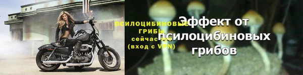 a pvp Магадан