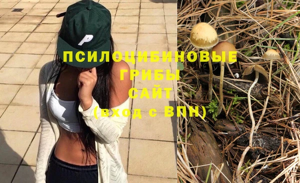 альфа пвп Медногорск