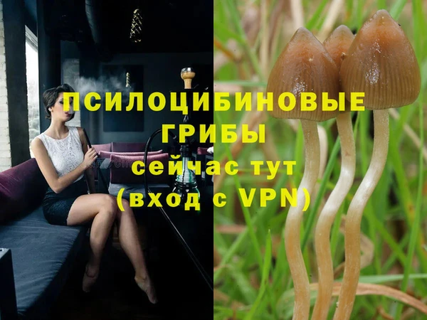 бутират Мегион