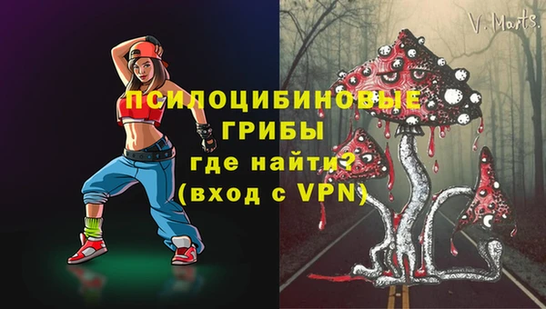 стаф Майский
