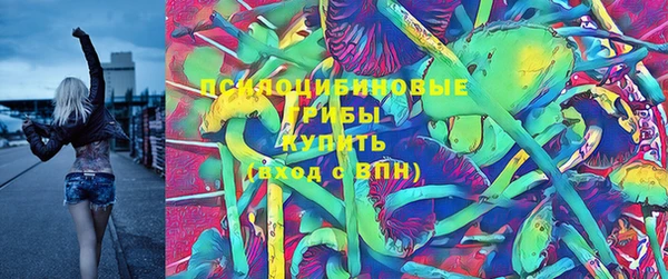 альфа пвп Медногорск