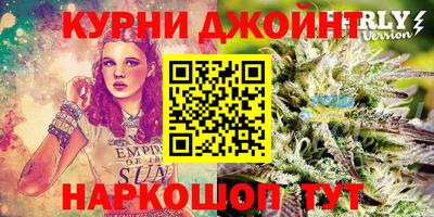 шишки Тверь