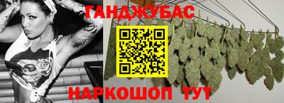 шишки Тверь