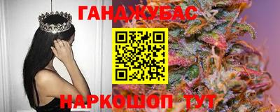 шишки Тверь