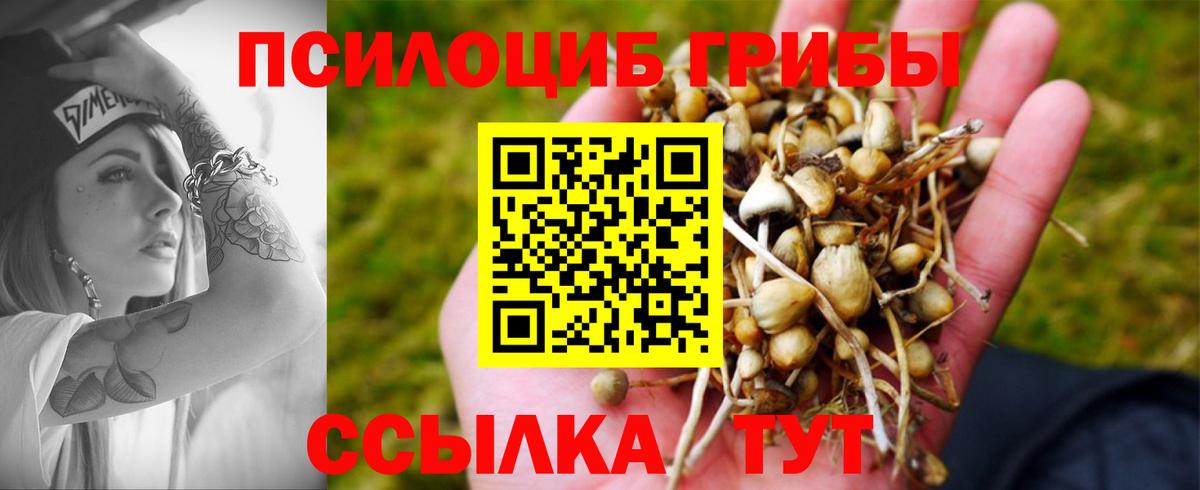 Галлюциногенные грибы Psilocybe  магазин    Шумерля  Вход с VPN 